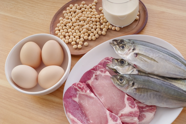 肉、魚、卵、大豆、牛乳などたんぱく質豊富な食材
