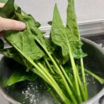 鍋で茹でられるほうれん草