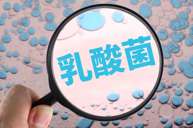 虫眼鏡で拡大した乳酸菌の文字とイメージ