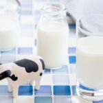 牛乳と牛のミニチュア